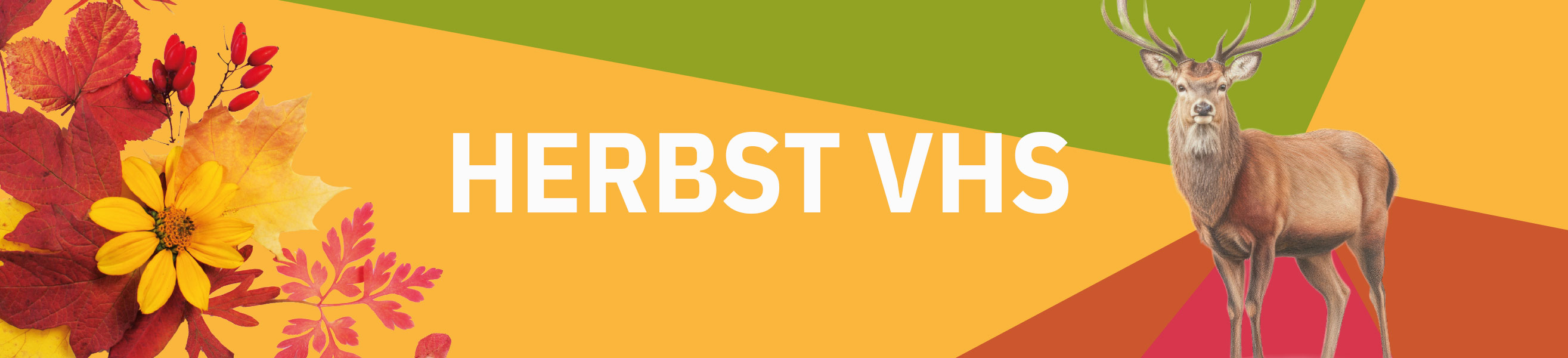 Kurse in den Herbstferien