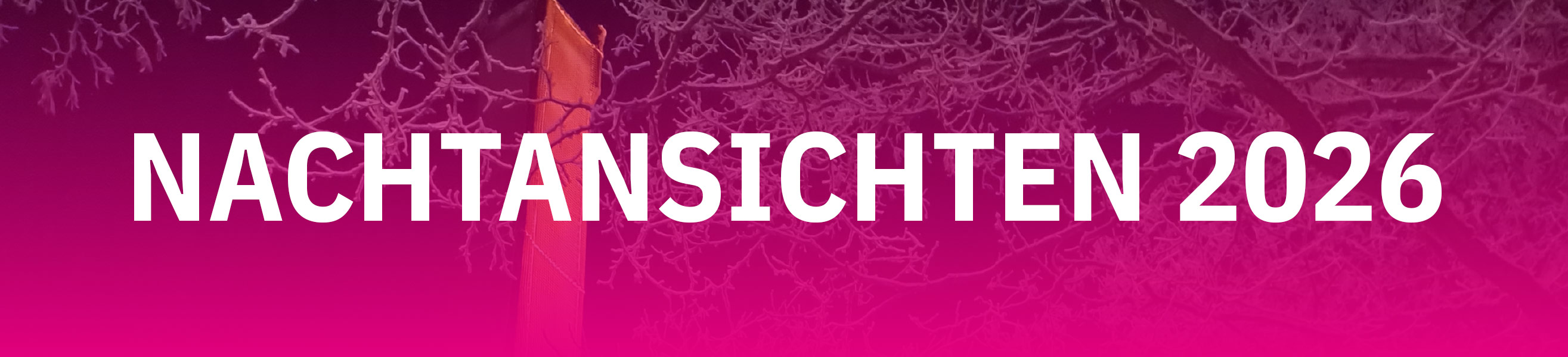 Nachtansichten 2026 in der VHS